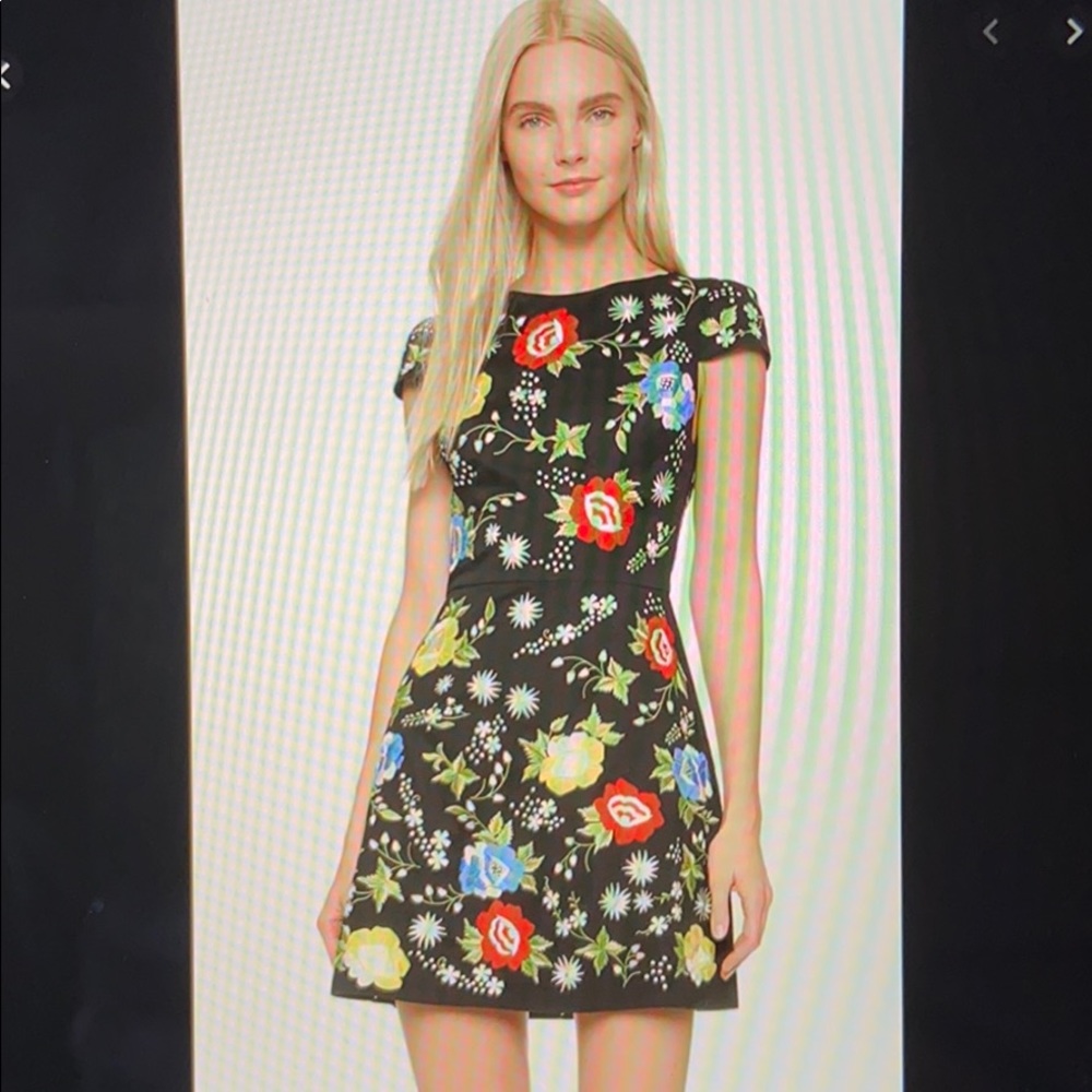 Alice + Olivia Ellen Embroidered Dress